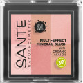 БІО-Рум'яна Multi Effect Beauty №01 Coral, 8г